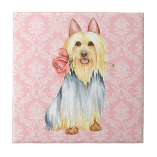 Carreau Valentine Rose Silky Terrier Carrelage