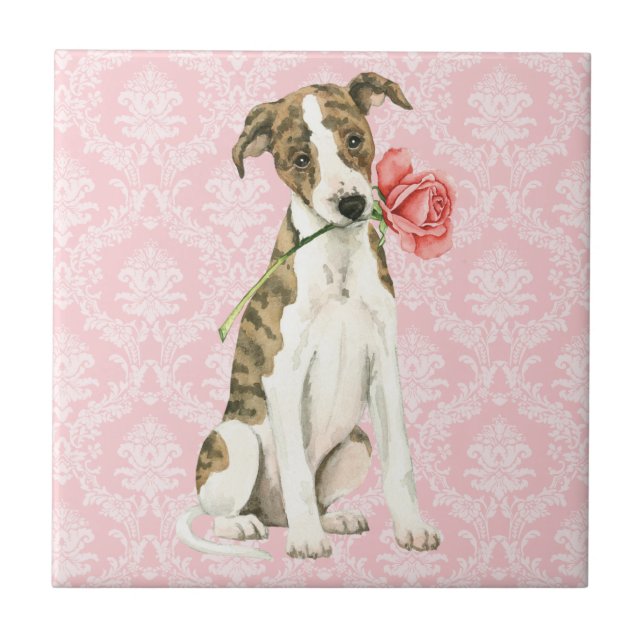 Carreau Valentine Rose Whippet (Devant)