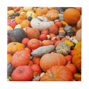 Carreau Variété de courges à vendre, Allemagne