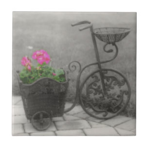 Carreau Vélo Et Fleurs Anciens En Noir Et Blanc