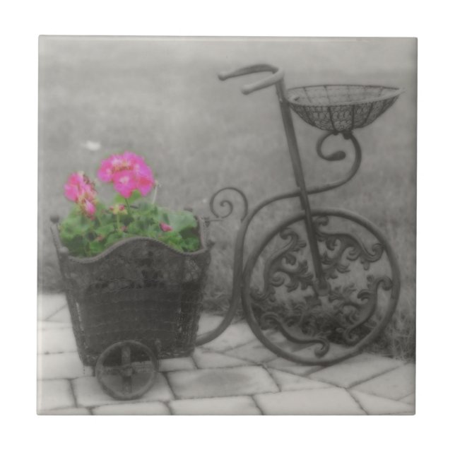 Carreau Vélo Et Fleurs Anciens En Noir Et Blanc (Devant)