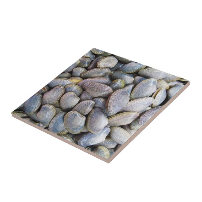 Carreau Venus Clam [ห อ ย ล า ย] (Côté)