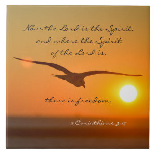 Carreau Vers de bible de liberté, vol d'oiseau au coucher
