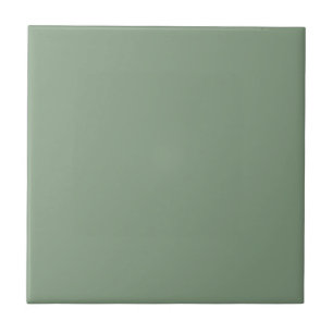 Carreau Vert Basil doux, Couleur solide neutre muet