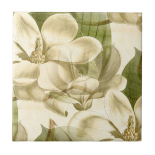 Carreau vert floral de magnolia