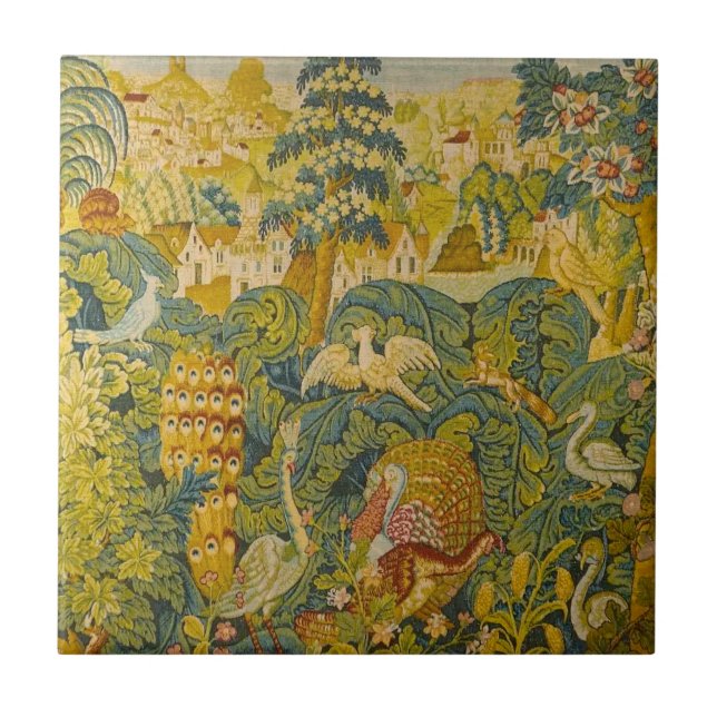 Carreau Vestiges botaniques de faune (Devant)