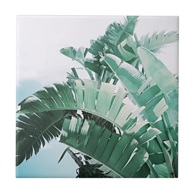 Carreau Vibes d'été Banana Feuilles vert pâle (Devant)