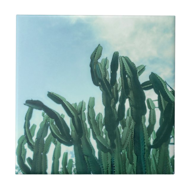 Carreau Vibes été Palm Tree Cactus vert pâle (Devant)