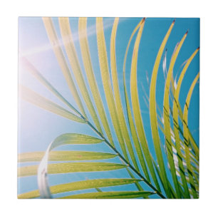 Carreau Vibes Positives Palm Tree Sunny