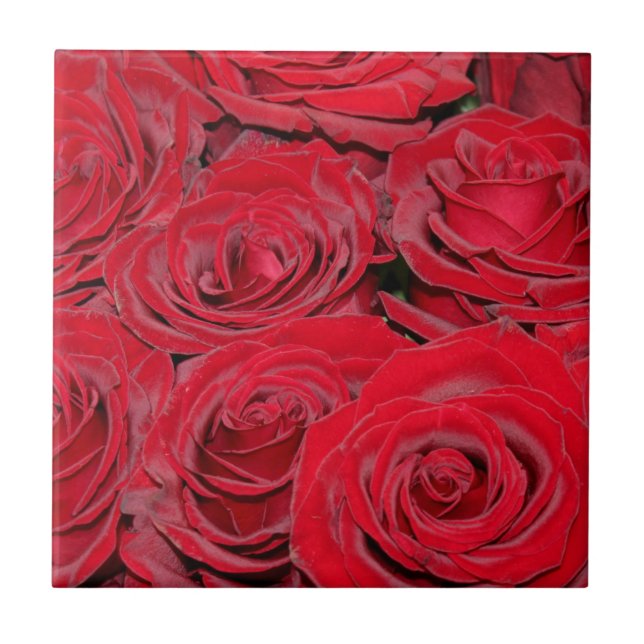 Carreau Vibrant Red Roses  (Devant)