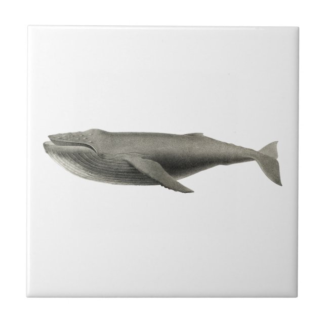 Carreau vie marine "BALEINE" TILE CÉRAMIQUE (Devant)