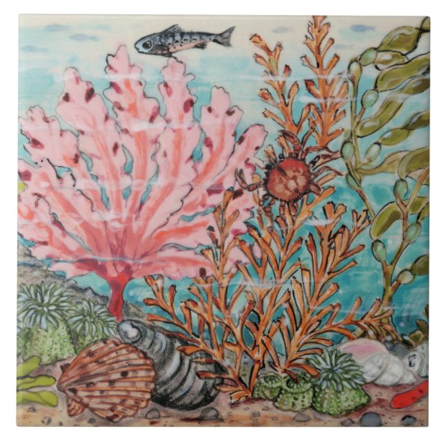 Carreau Vie marine Crabe Corail Poisson Plage marine Peint (Devant)