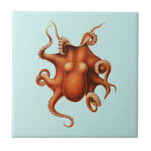 CARREAU VIE MARINE OCTOPUS TITRE CÉRAMIQUE