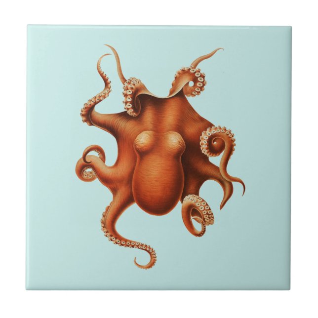 CARREAU VIE MARINE OCTOPUS TITRE CÉRAMIQUE (Devant)