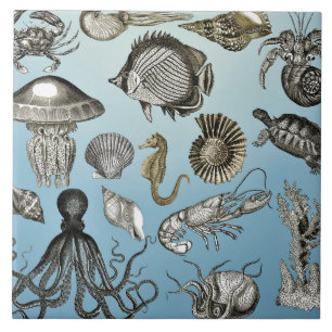 Carreau Vie maritime