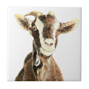 Carreau Vielle chèvre mignonne, Humour animal de ferme