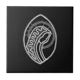Carreau Vierge Marie bénie en dentelle blanche sur velours
