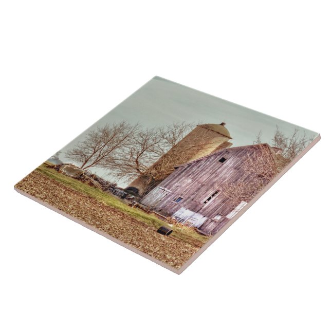 Carreau Vieux grange et silo (Côté)