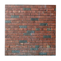 Vieux mur de briques rougeâtre/brunâtre