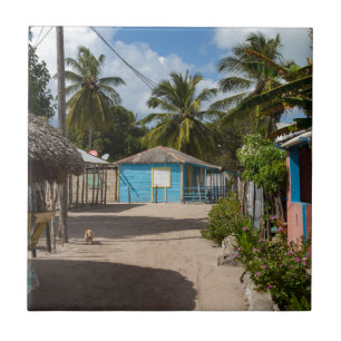Carreau Village de Mano Juan à Saona en République Dominic
