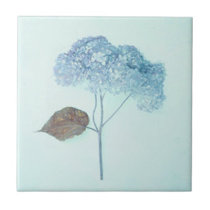 Carreau Vintage Antique Blue Hydrangea Pays Floral