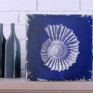 Carreau vintage botanique Côte Bleu Coquille blanche