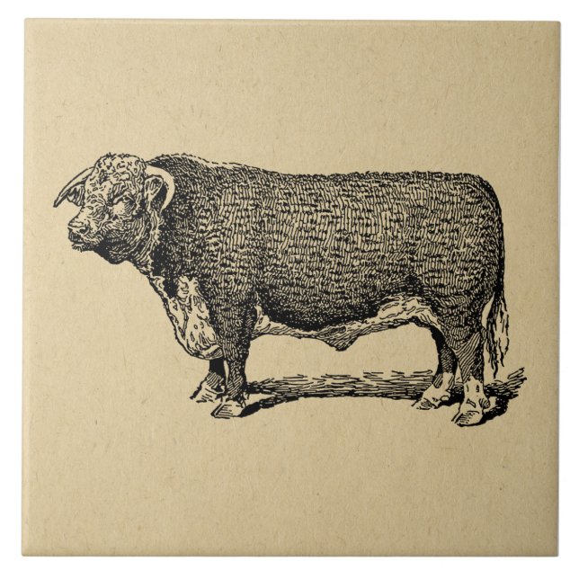 Carreau Vintage Bull Country & Farm Theme Art (Devant)
