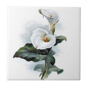 Carreau Vintage calla lily