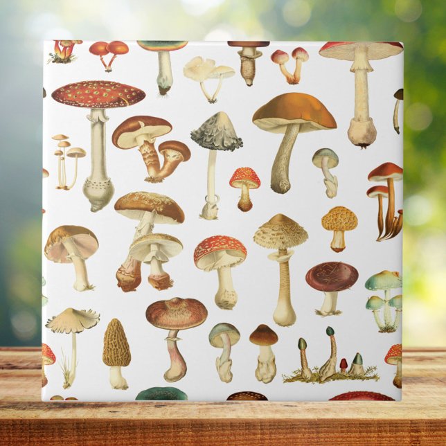 Carreau Vintage Champignons Motif sans soudure (Close up)