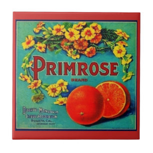 Carreau Vintage entreprise de fruits à oranges étiquette