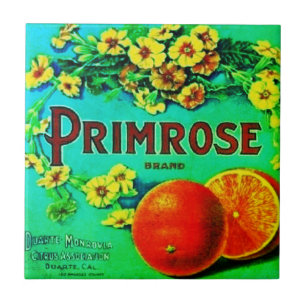 Carreau Vintage entreprise de fruits à oranges étiquette