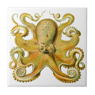 Carreau Vintage Ernst Haeckel Octopus en jaune
