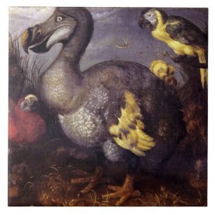 Carreau Vintage Roelant Savery Saveries Dodo