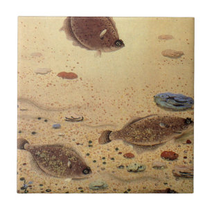 Carreau Vintages, Marine Ocean Life Poisson plat