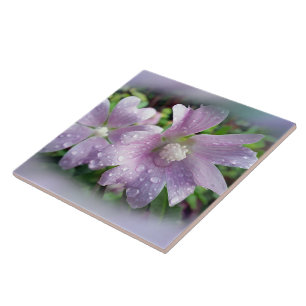 Carreau Violet clair