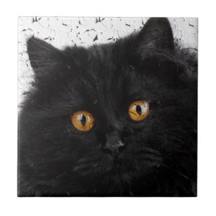 Carreau Visage Perse Noir