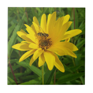 Carreau Vol stationnaire sur un chrysanthème jaune