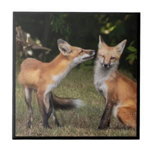 Carreau Vous Avez Une Menthe ?