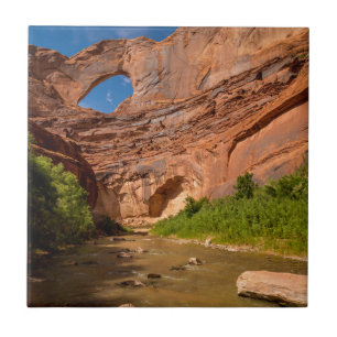 Carreau Voûte de Stevens - rivière d'Escalante - l'Utah