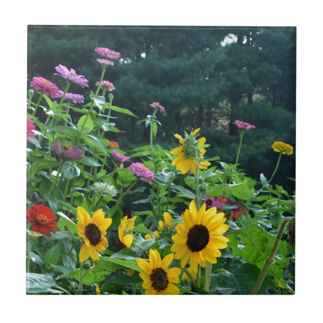 Carreau Vue jardin tournesols marguerites verdure forêt (Devant)