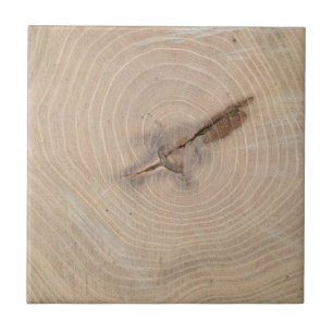 Carreau Vue supérieure des anneaux annuels du plan