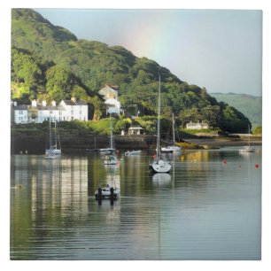 CARREAU VUES DES ALLES