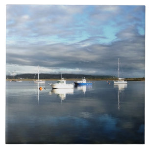 CARREAU VUES DES ALLES