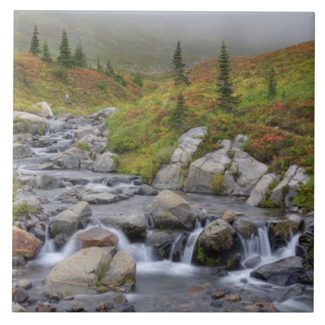 Carreau WA, Parc national du Mont-Rainier, ruisseau Edith (Devant)