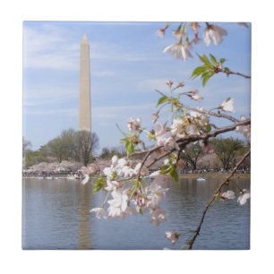 Carreau Washington Monument de beaux cadeaux