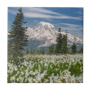Carreau Washington, Parc national du mont Rainier 1