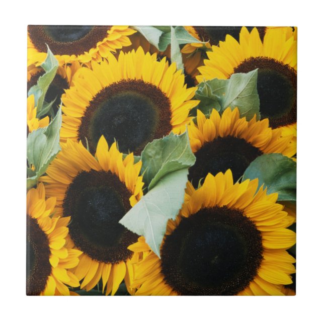 Carreau Washington, Seattle, Tournesol en vente de brochet (Devant)
