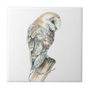 Carreau Watercolor Barn Owl Bird Art
