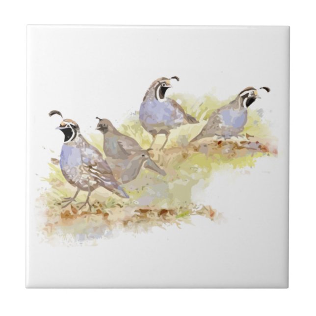 Carreau Watercolor California Quail Bird Art familial (Devant)