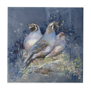 Carreau Watercolor California Quail Wildlife Bird